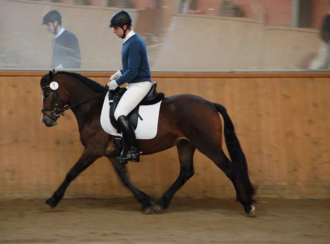 TerraAllegra - Endnote 8,09 Foto: Jochen Noesinger