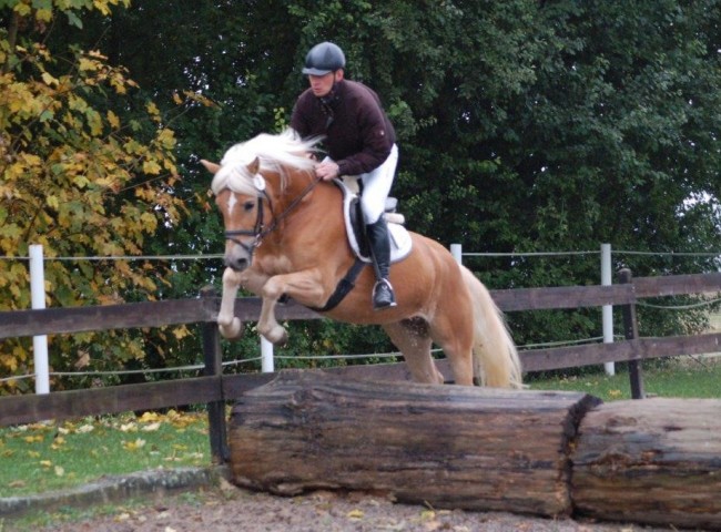 Wiless - Endnote 7,90 Foto: Jochen Noesinger