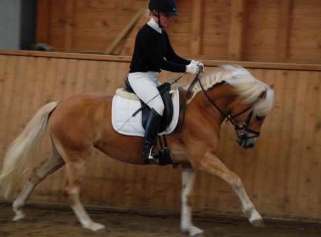 Wiless - Endnote 7,90 Foto: Jochen Noesinger