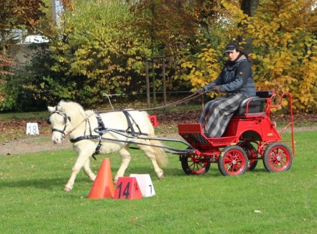 Frozen Daiquiri von den Frechdachsen