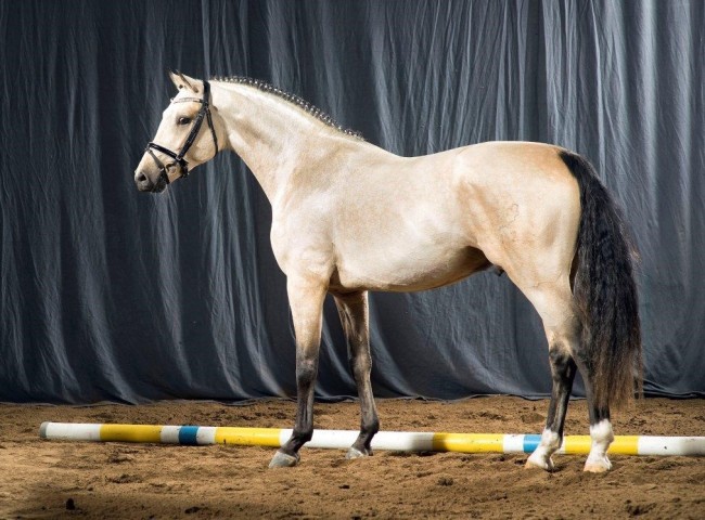 Newlands Day by Day Foto: Guido Recki