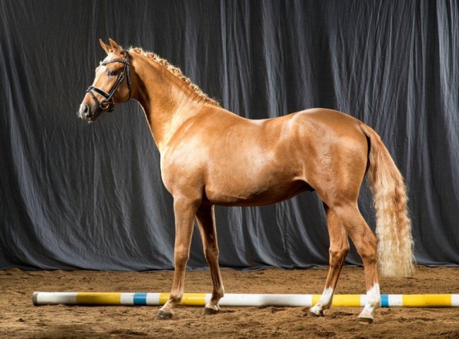 Oceans Eleven Foto: Guido Recki