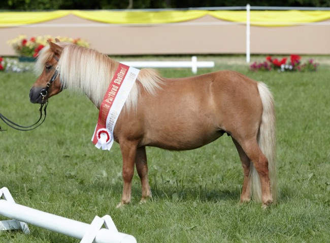 Balia aus dem Spessart