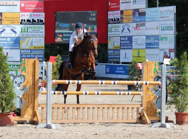 Balou Star`s Premier