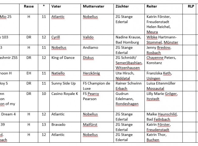 Sportponys_nach_Disziplinen