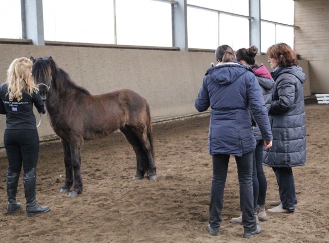 Die IPZV Richterinnen nahmen sich viel Zeit für jeden Kandidaten