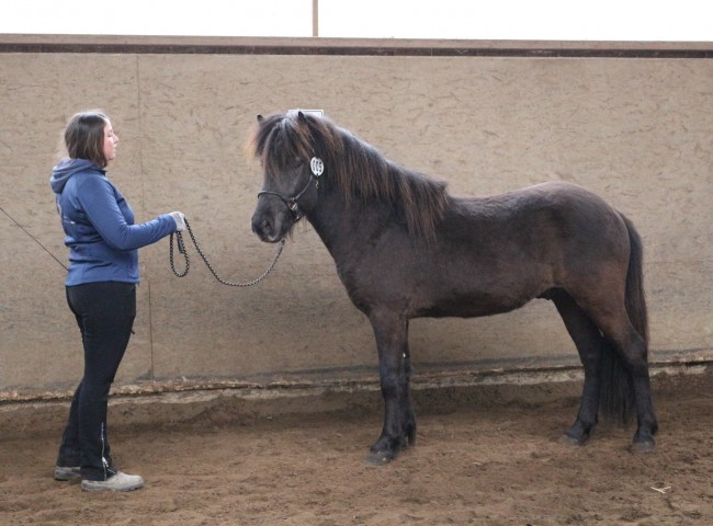 Isildur fra Ugluhreiori