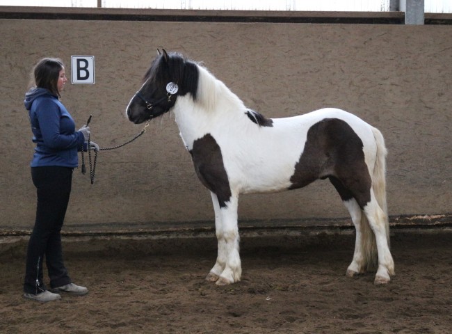 Safir fra Ugluhreiori