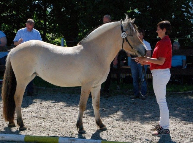 Klasse III - 1c) Helin