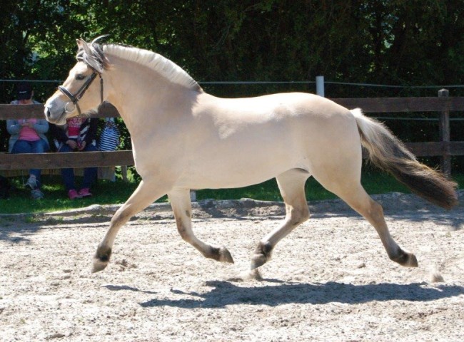 Klasse I - 1c) Julee