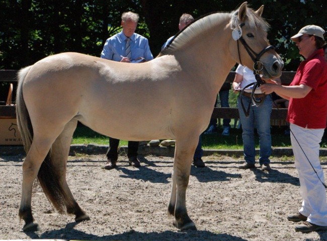 Klasse II - 1b) Lannika