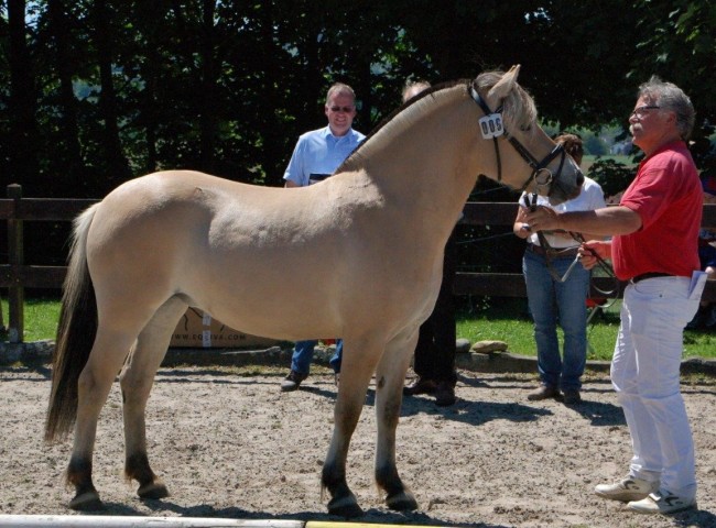 Klasse I - 1b) Lidona