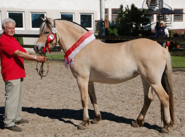 Reserve-Siegerstute Lydissa