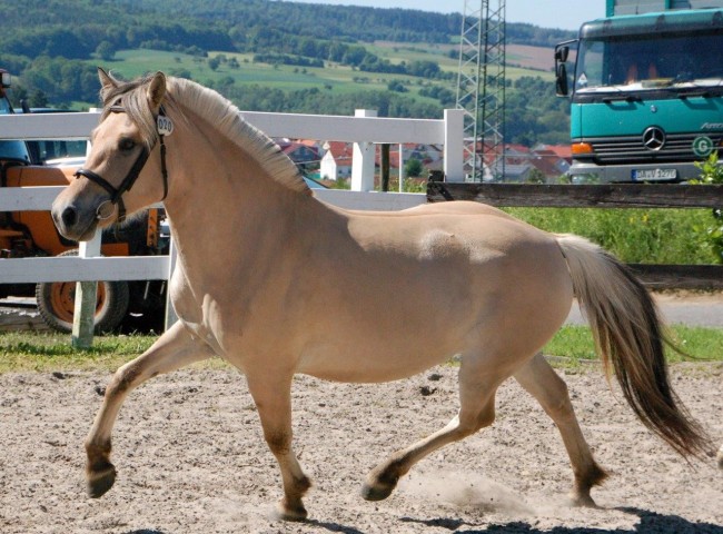 Klasse III - 1b) Ulrikas Lone