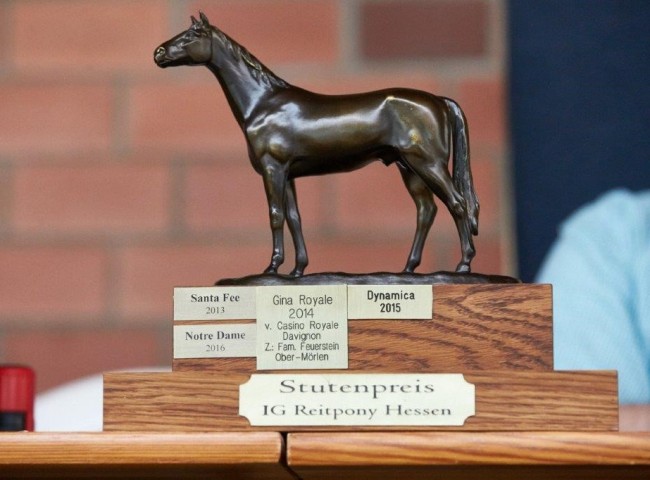 Siegerin des Stutenpreises der IG Reitpony Hessn wurde RM-D-Darlin  Foto: Joachim Hecker