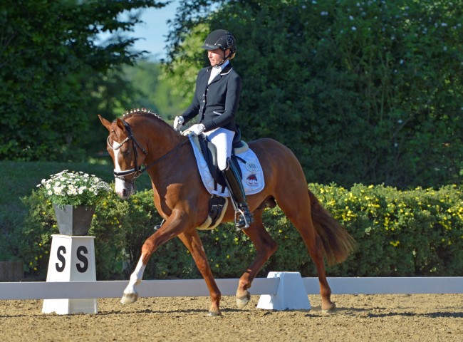 Cosmo Royale siegt mit Danica Duen in der Pony-Reitpferdeprüfung  Foto: Bernd Neff