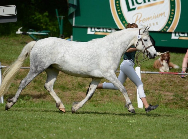 Jona Foto: Dr. Bachmann