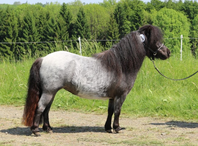 Marie-Lou Foto: Grom