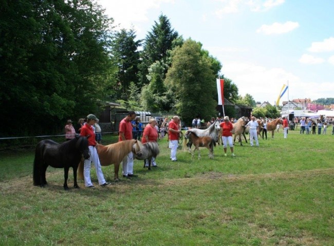 Parade der Sieger beim 247. Lauterbacher Prämienmarkt