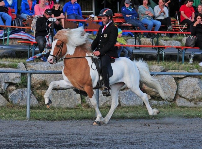 Gear von der Igelsburg 