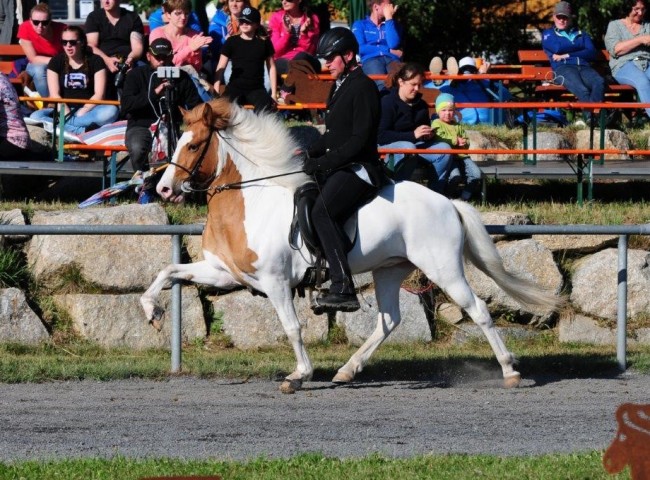 Gersemi von der Igelsburg 