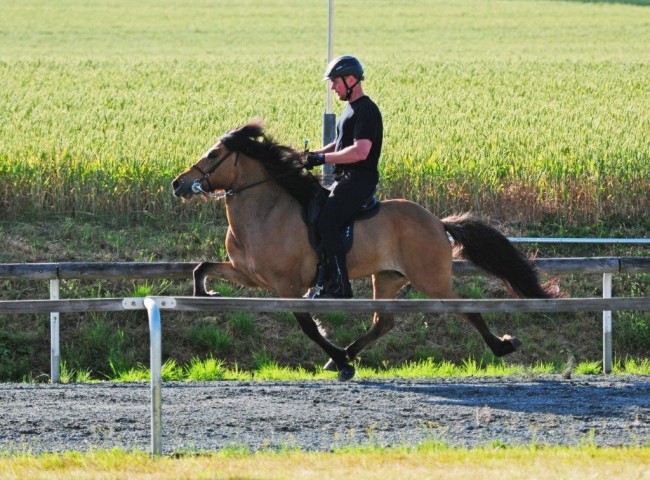 Gleðja von der Igelsburg