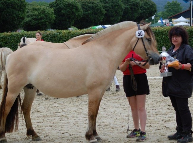 Siegerin 6- und 7-jaehrige Stuten und Beste Stute Lara