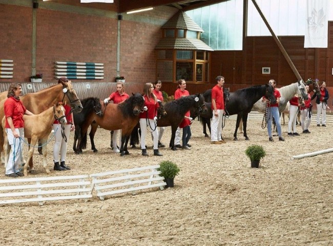 Endring Spezialrassen  Foto: JHecker