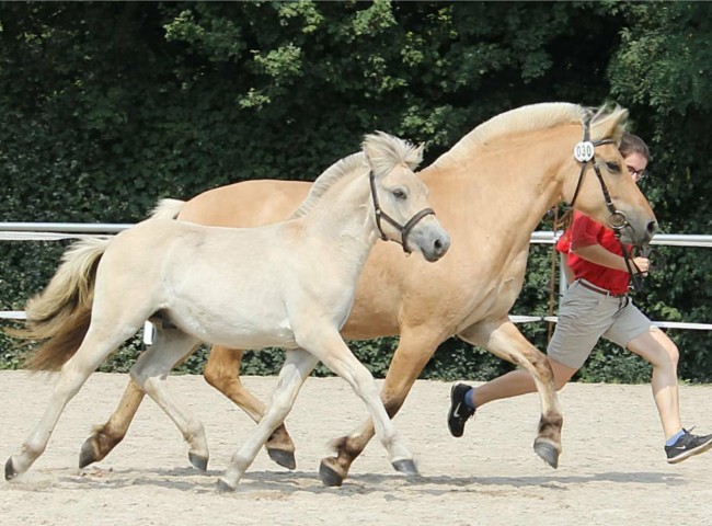 Ghostbuster Klasse 4 1b