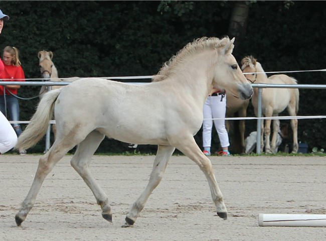 O'Lightning Lotta Klasse 1 1c