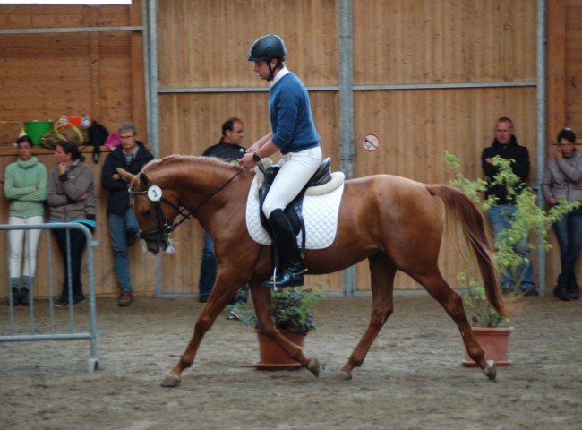 Sagh-ol, Karabagh, EN 7,28