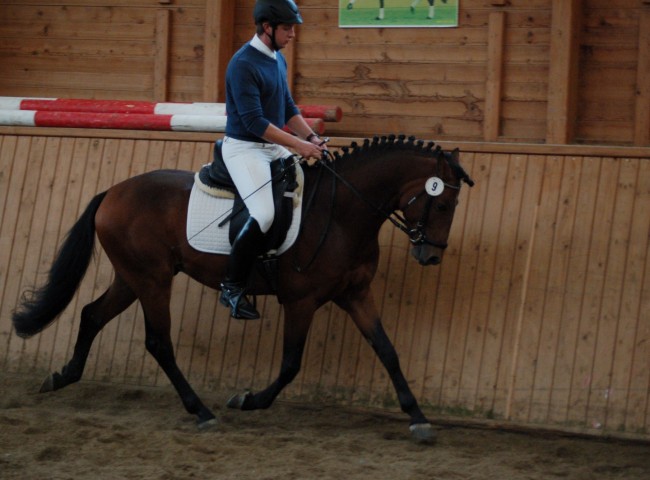 My Lord HW, DRP, EN 8,0