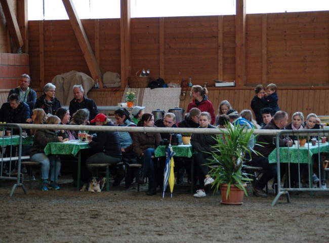 Viele interessierte Zuschauer waren gekommen