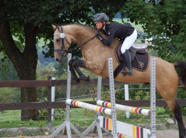 Pepiono Theke, Achal Tekkiner, EN 7,11