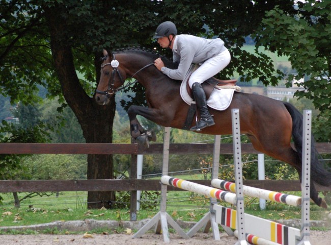 Dreamer, DRP, EN 8,53