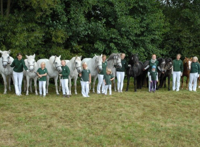 Größte Rassegruppe die Connemaras