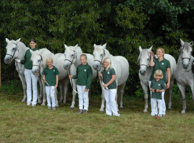 Keine Nachwuchssorgen auf dem Connemara Gestuet Glaskopf