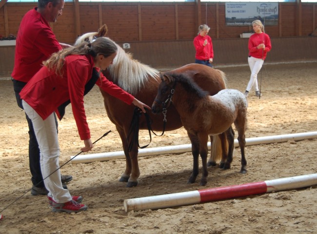 Ferdinand aus dem Spessart