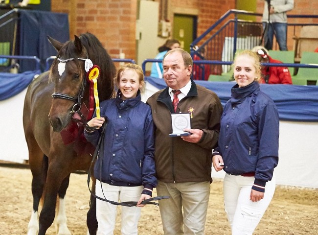 Friedrichshof Hot Twix   Welsh Cob   Foto: Joachim Hecker