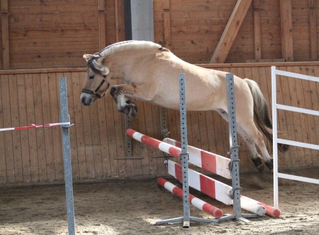 Leonce