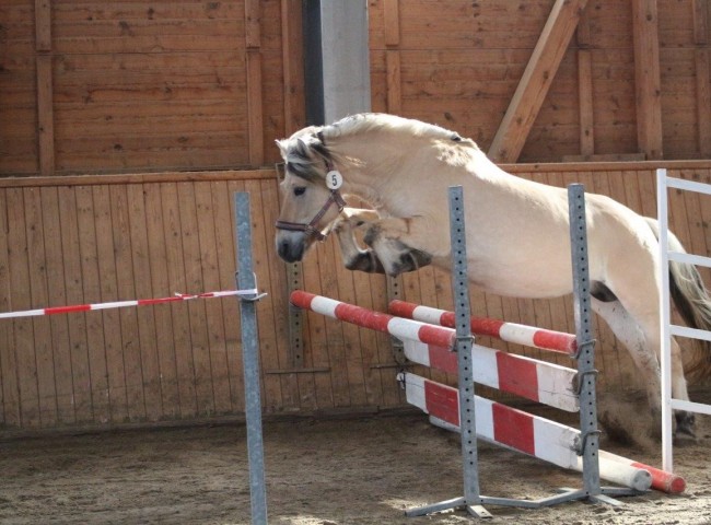 Linee