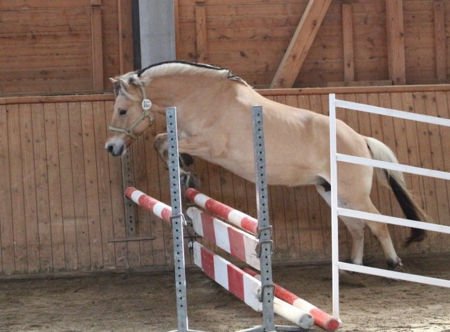Lisandra