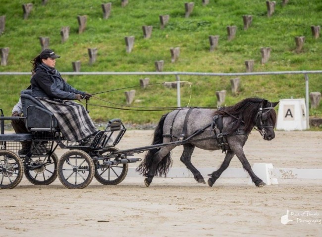 Gwen uit den Berg Bild: Fabian Weidemann