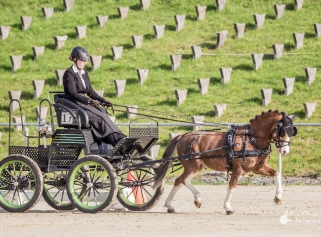 HarryPotter Bild: Fabian Weidemann