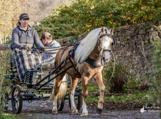 Nando-Rafael im Gelaende Bild: Fabian Weidemann