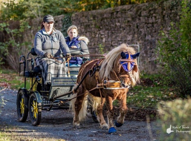 Oberbayerns Inchalla Bild: Fabian Weidemann