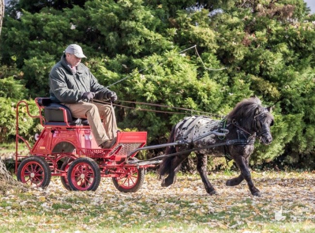 Sputnik gefahren von Dieter Lauterbach Bild: Fabian Weidemann