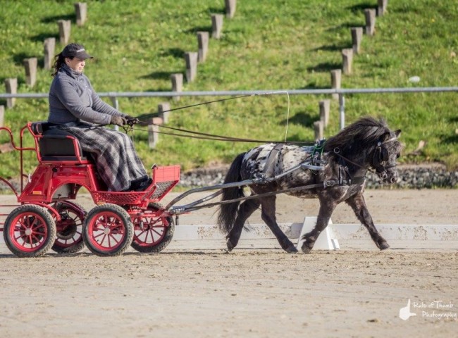 Sputnik Bild: Fabian Weidemann