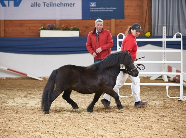 Index von Salza