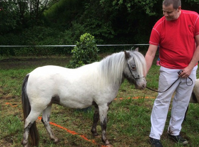 Pr.St.-Lendorfs-Kaja
